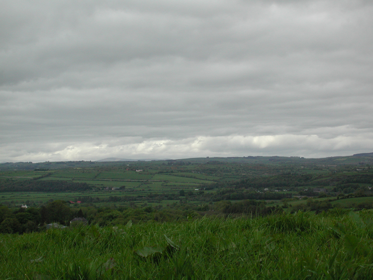 Boulteen F1.jpg 322.9K